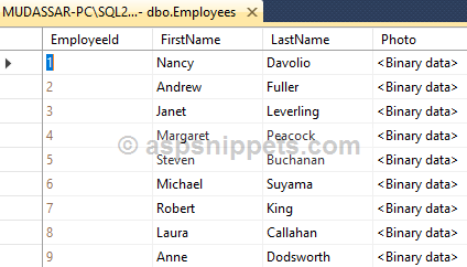 Display Binary Image from database in RDLC Report in ASP.Net Core