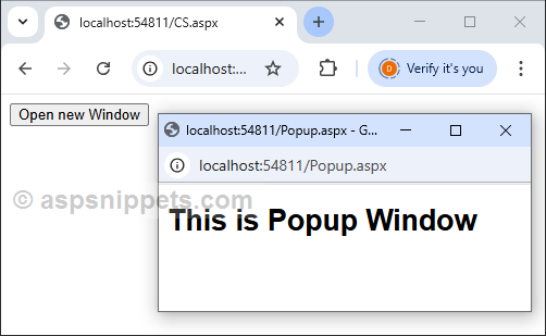 Open New Window from Server Side (Code Behind) in ASP.Net using C# and VB.Net