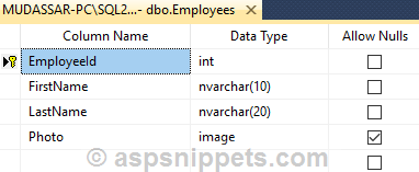 Display Binary Image from database in RDLC Report in ASP.Net Core