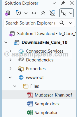 .Net 10: Download File in ASP.Net Core