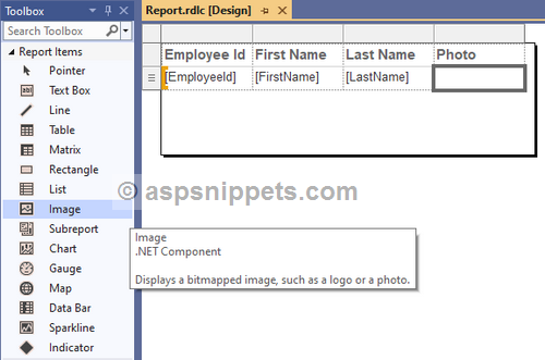 Display Binary Image from database in RDLC Report in ASP.Net Core