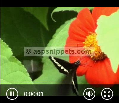 ASP.Net Core Razor Pages: HTML5 Video (MP4) Player