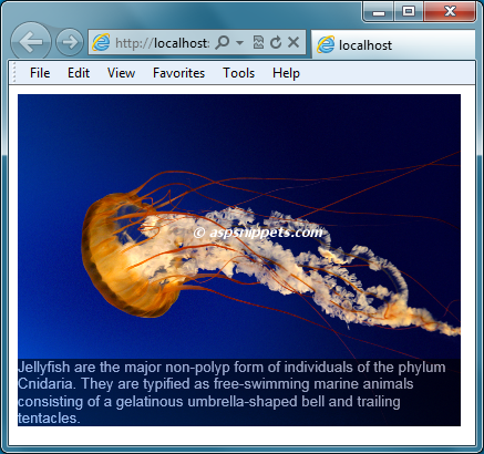 how to display semi-transparent text over image on hover or on mouse over using jQuery