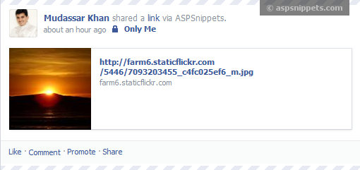 Share Image, Photo Pictures on Facebook in ASP.Net using Graph API