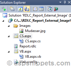 Dynamically add and display external Image in RDLC Report from code behind in ASP.Net