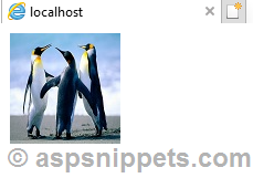 Displaying images that are stored outside the Website Root Folder ASP.Net