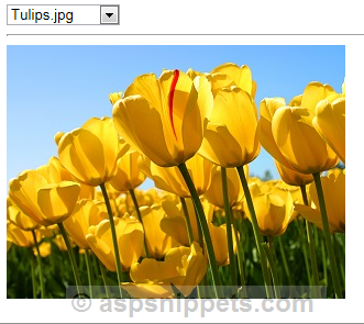 Using Generic Handler to display Binary Image from database in ASP.Net