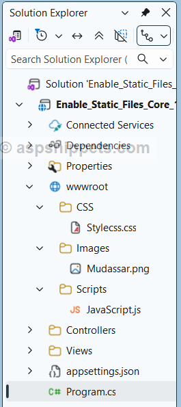 .Net Core 10: Enable Static Files in ASP.Net Core