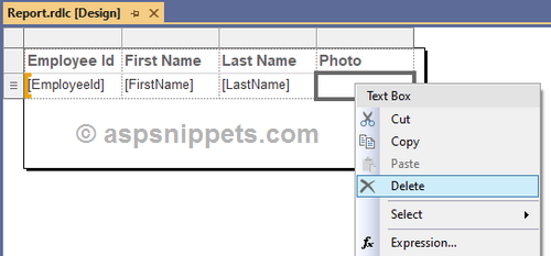 Display Binary Image from database in RDLC Report in ASP.Net Core
