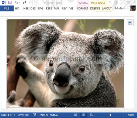 Export (Convert) Image to Word file in ASP.Net using C# and VB.Net