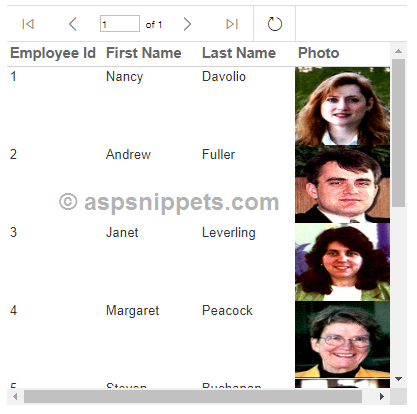 Display Binary Image from database in RDLC Report in ASP.Net Core