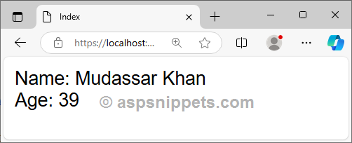ASP.Net Core: Store Custom class object in Session