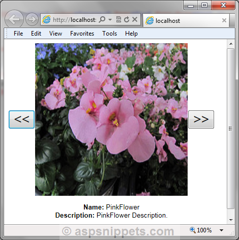 ASP.Net AJAX SlideShow Extender control Tutorial with Example