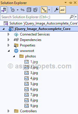 ASP.Net Core: jQuery AutoComplete TextBox with Images
