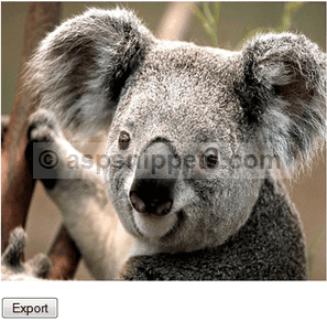 Export Image to Excel file in ASP.Net using C# and VB.Net