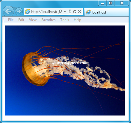 how to display semi-transparent text over image on hover or on mouse over using jQuery