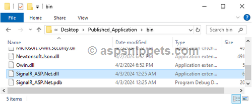 Publish web application in Visual Studio 2022