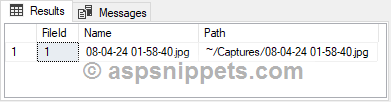 ASP.Net Core Razor Pages: Save Webcam capture to Database