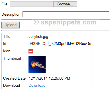 Upload Files to Google Drive using Google Drive API in ASP.Net with C# and VB.Net