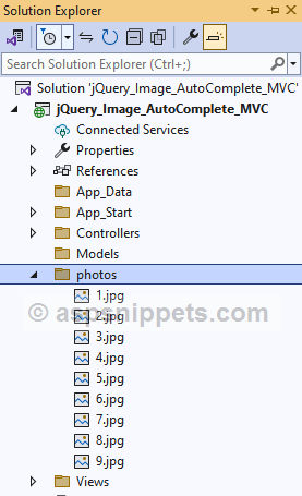 ASP.Net MVC: jQuery AutoComplete TextBox with Images
