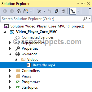 ASP.Net Core: HTML5 Video (MP4) Player Files